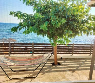 Skafidia House | Beach front house at Agios Ilias Pyrgos Near Ancient Olympia