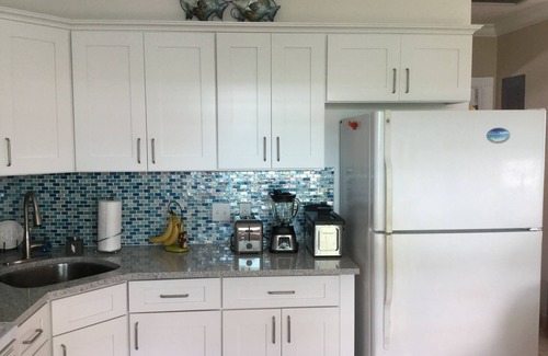 Wheeland Settlement Condo | Experience the Beachfront Penthouse with Ocean View & Pool
