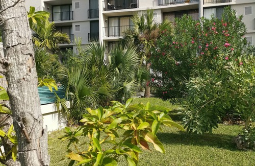Williams Town Condo | Beach Front Studio in Freeport, Grand Bahamas with Ocean View