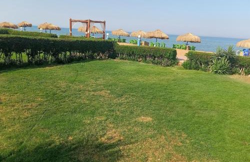 Zafarana Villa | Pet-Friendly Beach Front Villa at La Sirena Resort