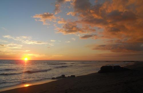 Las Penitas House | Discover Beach Hostal Oasis: Oceanfront & Pet Friendly Stay