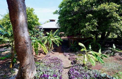 Guanaja House | Family-Friendly Beach House Steps from Channel Bar & Grill