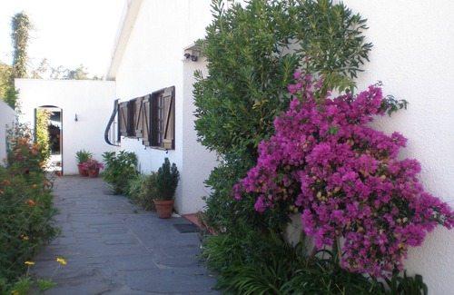 Arvore Villa | Oceanfront Beach House with Pool & Spa, Rated 9.6/10