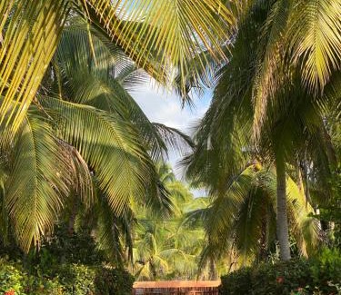 Barra de Potosi Bed & Breakfast | Beach Lover's Paradise with Ocean View & Private Beach
