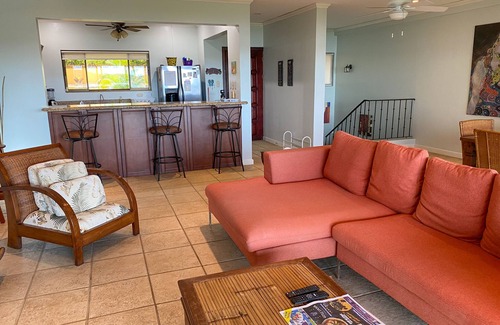 Playa Flamingo Condo | Incredible Ocean View Near Marina Flamingo - 2 Bed Oasis