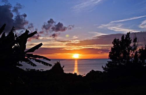 Ishigaki Cabin | Beach Village Nosoko: Ocean View with Pool and Kitchen