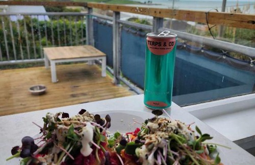 Kakanui House | Beachbach16 - Kakanui: Pet-Friendly Oceanfront Retreat