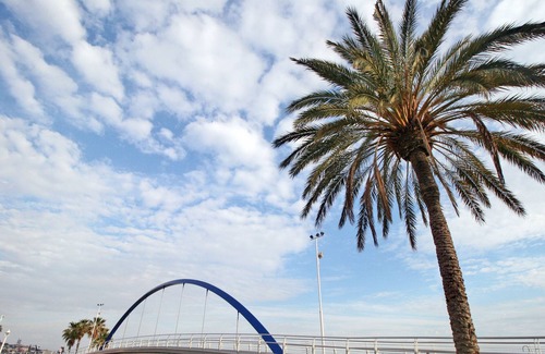 Las Acacias Apartment | Beachfront 2 bedr. +1 bathr. + terrace in the East of Malaga City (Pedregalejo)