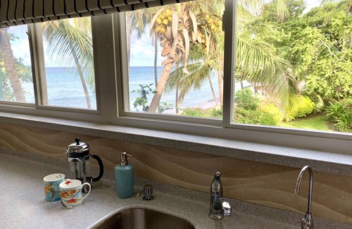 Dover Apartment | Ocean View Apartment: Turtles Nest D with Kitchen Access