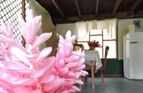 Esterillos House | Beachfront bungalow located right next to Punta Mala Wildlife Refuge