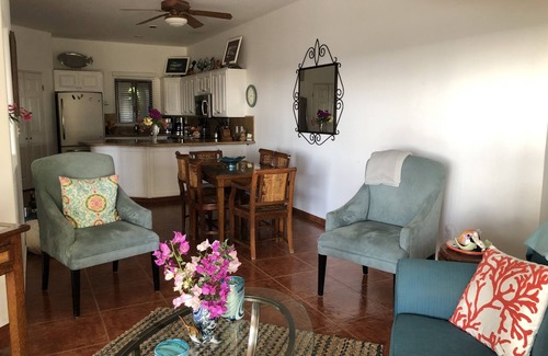 San Jose del Cabo Condo | Beachfront Condo in San Jose Del Cabo with Pool & Spa