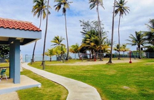 Mediania Alta Condo | Beachfront Condo with Rooftop Terrace and Pet-Friendly Perks