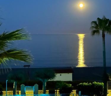 Marina de Casares Apartment | MyViewApartment - Beachfront Escape with Ocean Views