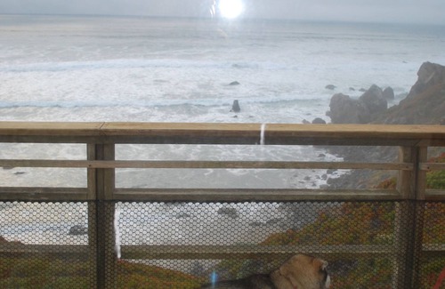 Dillon Beach House | Beachfront Oasis - Perfect for Families and Pet Lovers