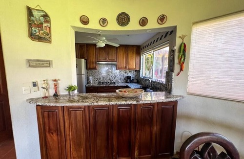 Ixtapa - Zihuatanejo Villa | Beachfront Villa: Infinity Pool, Steps from the Ocean!