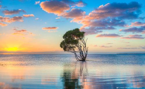 Beachmere Hotel | Discover Beachmere Palms Motel: Oceanfront Getaway Awaits