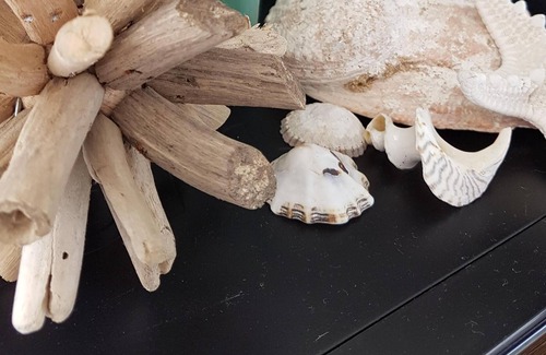 Rivoli Bay Cottage | Beachport drift AWAY - drift WOOD Cottage