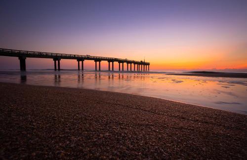 Palm Coast House | Oceanfront Beachside Escape at Surfview Paradise