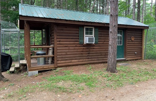 Wilmington Cabin | Cozy Bear Cabin at Adirondack Wildlife Refuge - Pet Friendly