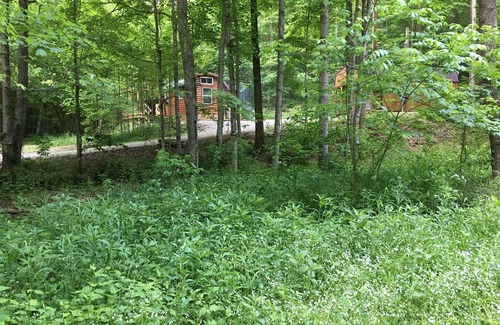 South Bloomingville Cabin | Inviting Bear Cabin in Hocking Hills: 9.8 Rated Getaway