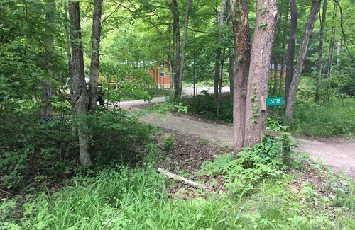 South Bloomingville Cabin | Inviting Bear Cabin in Hocking Hills: 9.8 Rated Getaway