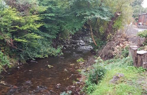 Auchterarder Cabin | Bear Lodge: Top-Rated Hotel with Family-Friendly Amenities