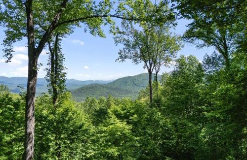 Walnut Mountain House | Discover Bear Point: Pet-Friendly Haven with Breakfast Included