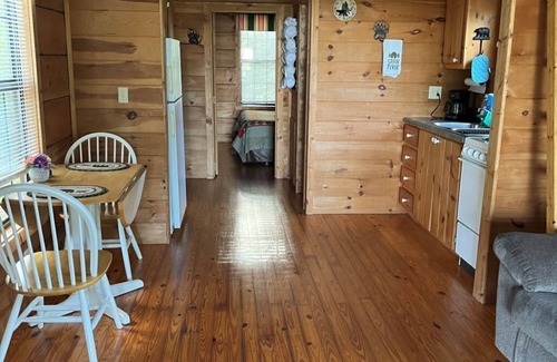 Lake Toxaway Cabin | Inviting Bear Villa: Family-Friendly Stay in Lake Toxaway