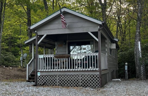 Lake Toxaway Cabin | Inviting Bear Villa: Family-Friendly Stay in Lake Toxaway