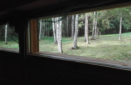 Vinni Parish Cabin | Experience Bear Watching and Photography in Comfort