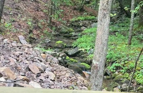 Vesuvius RV Rental | Bearadise Glamping: 10/10 Rating with Family-Friendly Perks