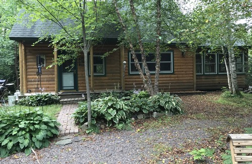 Ladysmith Cabin | Experience Bearadise on the Scenic Thornapple River