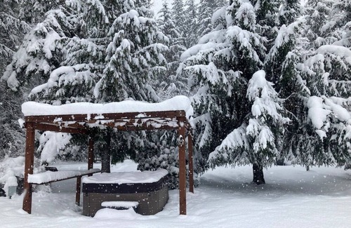 Ashford House | Cozy Bear’s Den Hideaway with Hot Tub & Family Amenities
