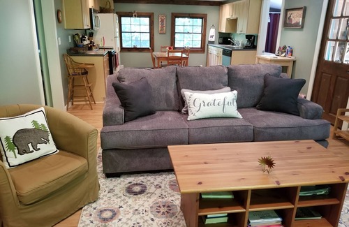 Barnardsville Cabin | Inviting Bears Den Cottage with Hot Tub by the River