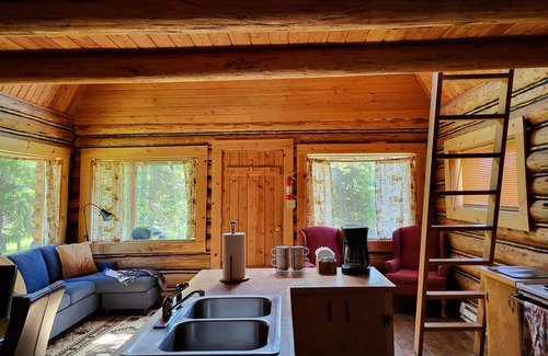 Condon Cabin | Discover Bears Den: Rustic Cabin Surrounded by Pines