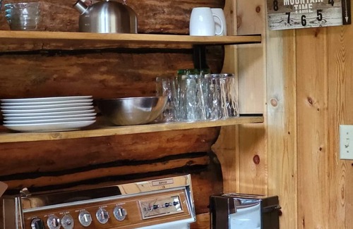 Condon Cabin | Discover Bears Den: Rustic Cabin Surrounded by Pines