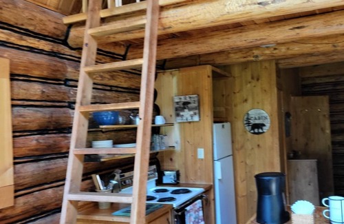 Condon Cabin | Discover Bears Den: Rustic Cabin Surrounded by Pines