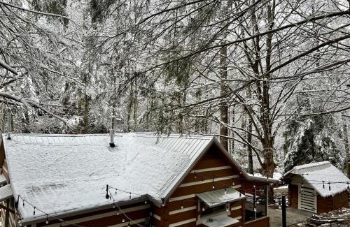 Townsend House | Relaxing Rustic Cabin with Outdoor Patio for Families