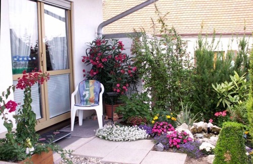 Neustadt-Gimmeldingen Apartment | Charming Apartment in Family Home with Kitchen & Accessibility