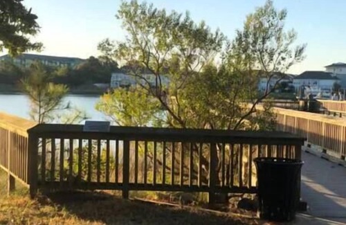 East Ocean View Apartment | Cozy 1-Bed Apartment Steps from the Beach with Kitchen