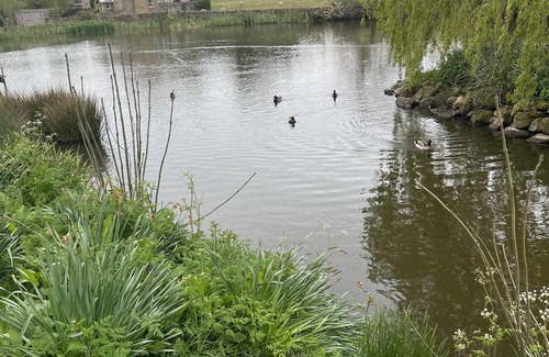 Grewelthorpe Cottage | Cozy 2-Bed Cottage in Grewelthorpe with Family Amenities