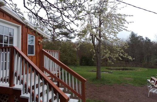 Liberty Cabin | Charming 2 Bedroom Cabin on Picturesque 15 Acre Farm