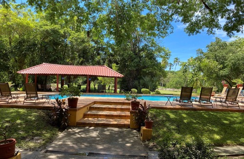 Ixtapa Condo | Elegant 2 BR Condo with Pool & Tennis at Palma Real Golf