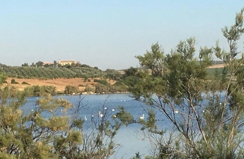Puente Genil House | Idyllic Villa Stay with Pool in the Heart of Andalusia