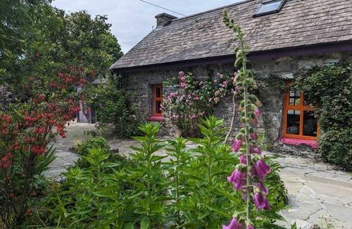 Bell Harbour Cottage | Elegant Aisling Cottage with Ocean View near Wild Atlantic Way