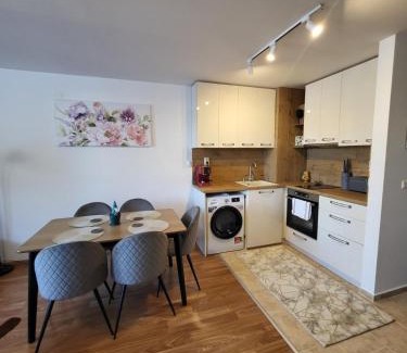Shiligarnika Apartment | Elegant Bansko Apartments - 4 Star with Family & Pet Amenities