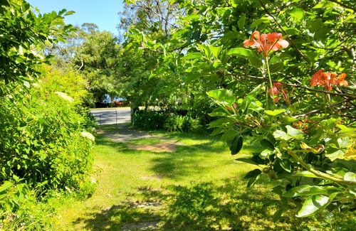 Wallaga Lake House | Idyllic Beachside Retreat with Oceanfront Views - 2 Min Walk