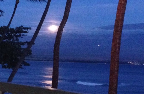 Maalaea Condo | Top-Rated Beachfront Condo Steps from the Ocean Waves