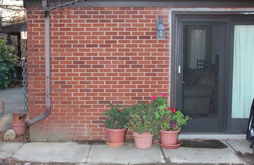 Norton Apartment | Cozy Garden Apartment Near Akron, Cleveland & Amish Country
