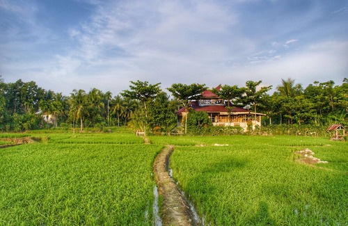 Bohorok House | Ideal Retreat in Bukit Lawang for Solo Adventurers